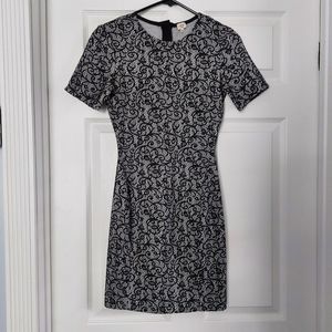 Aritzia Wilfred Mignonne Black Lace Dress